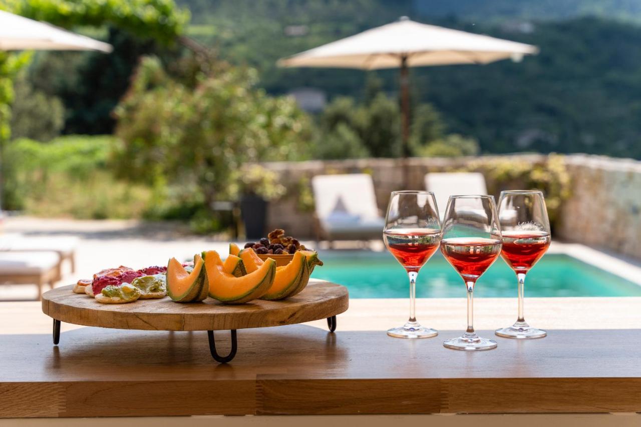 Villa Du Passeron Chambonas Kültér fotó
